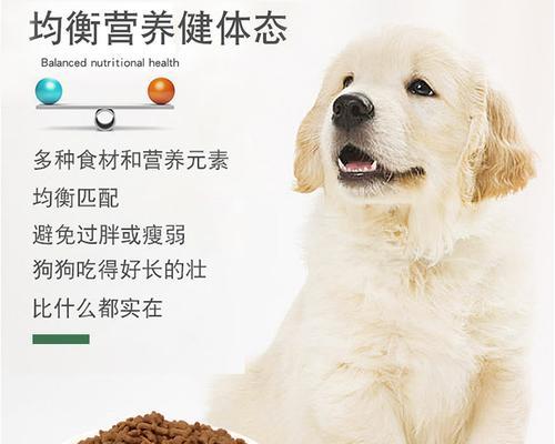 选择适合泰迪幼犬的粮食品牌（以泰迪幼犬粮什么牌子好？选对粮食关键在于健康） - 悠悠酷狗网