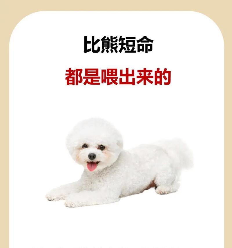 比熊犬的健康水果饮食指南（让你的比熊犬享受美味水果的同时保持健康） - 悠悠酷狗网