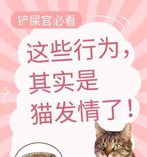 为什么猫会老乱叫？（探寻猫咪叫声背后的原因）(图3)