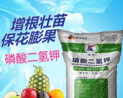 养杜高的注意事项（打造健康快乐的杜高生活） - 悠悠酷狗网