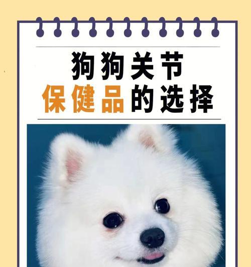 狗在什么时候应该服用葡萄糖?(葡萄糖的关键时刻和用途)(图3) 狗在什么时候应该服用葡萄糖?(葡萄糖的关键时刻和用途)(图3)