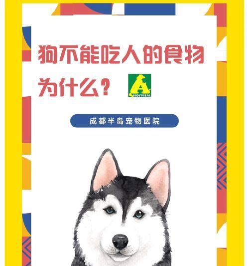 为什么狗狗应该以犬粮为主食?(探讨狗狗为何需要犬粮以及其重要性)(图3) 为什么狗狗应该以犬粮为主食?(探讨狗狗为何需要犬粮以及其重要性)(图3)
