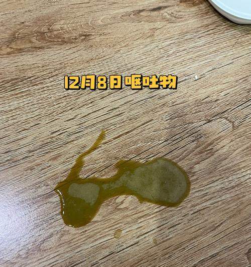 猫为什么经常呕吐？（探究猫呕吐的原因及应对方法）(图2)