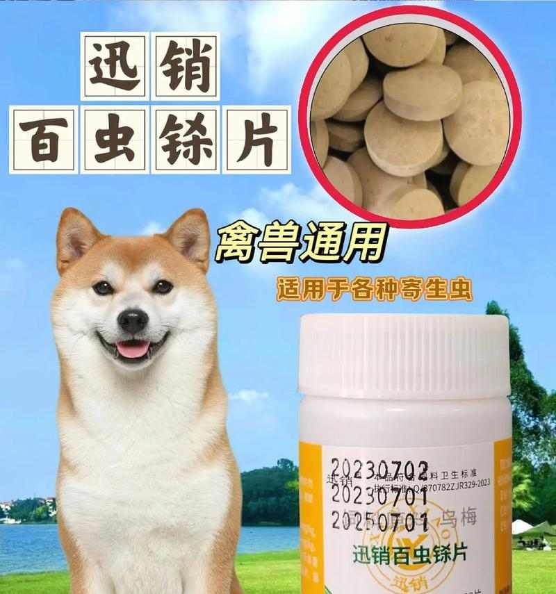 狗身上的寄生虫——潜伏在可爱外表背后的隐患(揭秘它们的种类、危害及预防措施)(图1) 狗身上的寄生虫——潜伏在可爱外表背后的隐患(揭秘它们的种类、危害及预防措施)(图1)