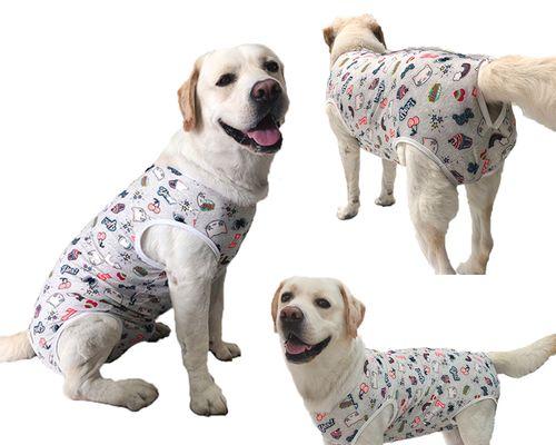 为什么以狗为什么生的全是公？（探究狗只产下公狗的原因及相关科学解释）(图2)