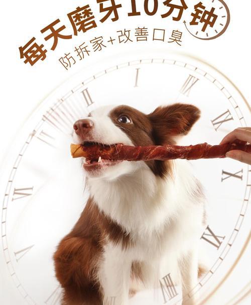 选择适合泰迪狗的磨牙棒,(给泰迪狗选择合适的磨牙棒,让它健康快乐成长)(图2) 选择适合泰迪狗的磨牙棒,(给泰迪狗选择合适的磨牙棒,让它健康快乐成长)(图2)