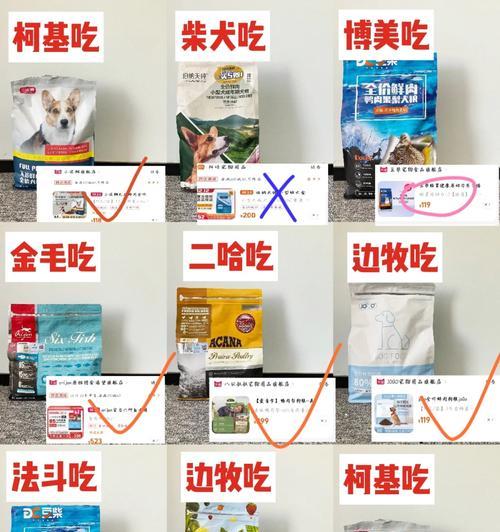 博美的饮食习惯与拉肚子的原因(揭秘博美的饮食偏好以及引发拉肚子的因素)(图3) 博美的饮食习惯与拉肚子的原因(揭秘博美的饮食偏好以及引发拉肚子的因素)(图3)