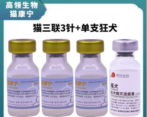 狗狗打疫苗，保护它的健康（了解狗狗常见的疫苗种类和接种时机）(图2)