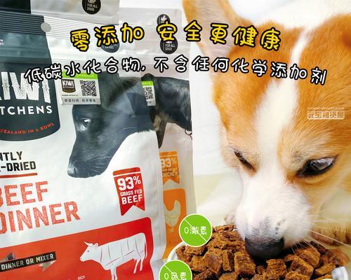狗的蛋白需求及适宜食物选择（为你的爱犬提供全面均衡的蛋白质） - 悠悠酷狗网