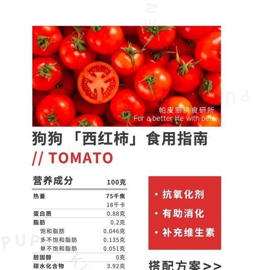 小狗受伤了，该吃什么药？（保护小狗健康的救命良药） - 悠悠酷狗网