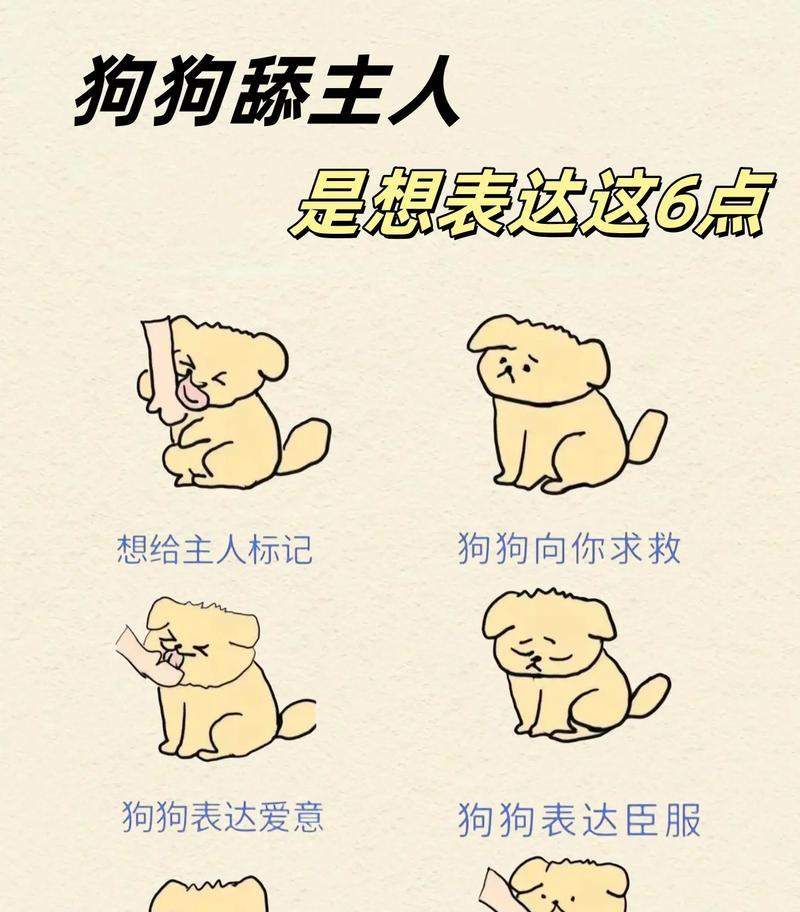 狗狗为何喜欢舔主人?(探寻狗狗舔主人的行为背后的原因与意义)(图3) 狗狗为何喜欢舔主人?(探寻狗狗舔主人的行为背后的原因与意义)(图3)