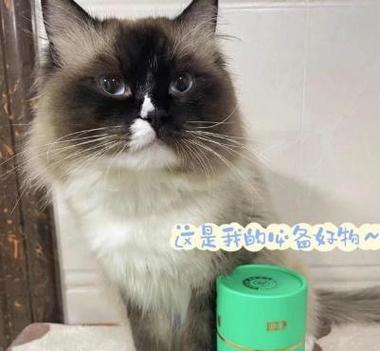 猫咪身上的细菌（探索猫咪身上的常见细菌，保护你和你的宠物的健康）(图2)