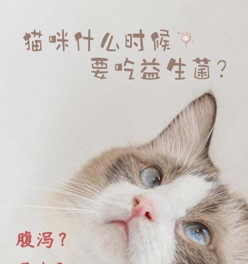 猫咪身上的细菌（探索猫咪身上的常见细菌，保护你和你的宠物的健康）(图3)