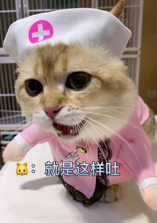 狗狗舌头烂了怎么办?药物治疗助您快速康复(了解狗狗舌头烂的原因及常用药物治疗方法)(图1) 狗狗舌头烂了怎么办?药物治疗助您快速康复(了解狗狗舌头烂的原因及常用药物治疗方法)(图1)