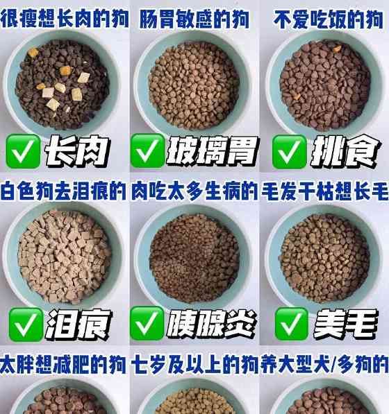狗粮对狗狗体重的影响（营养均衡的狗粮与狗狗健康体重的关系） - 悠悠酷狗网