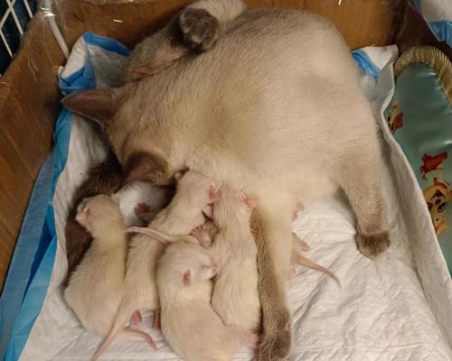 深入了解以泰迪宫缩症状(图2)