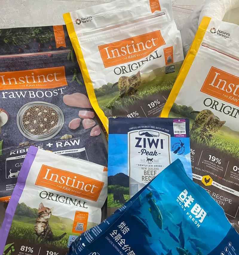 小猫什么时候可以吃猫粮？（适合小猫吃猫粮的关键时期及食谱推荐） - 悠悠酷狗网