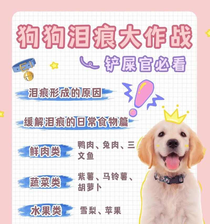 狗狗术后的饮食护理（选择合适的饮食方案来促进狗狗康复）(图2)