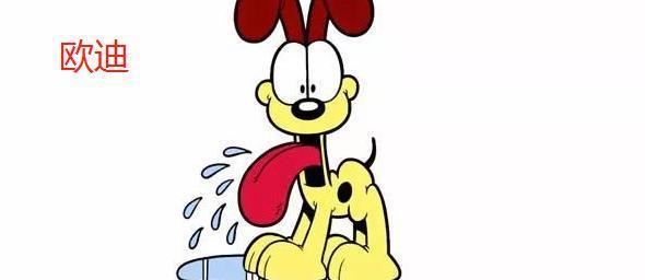 加菲猫的乖巧与调皮（了解加菲猫） - 悠悠酷狗网