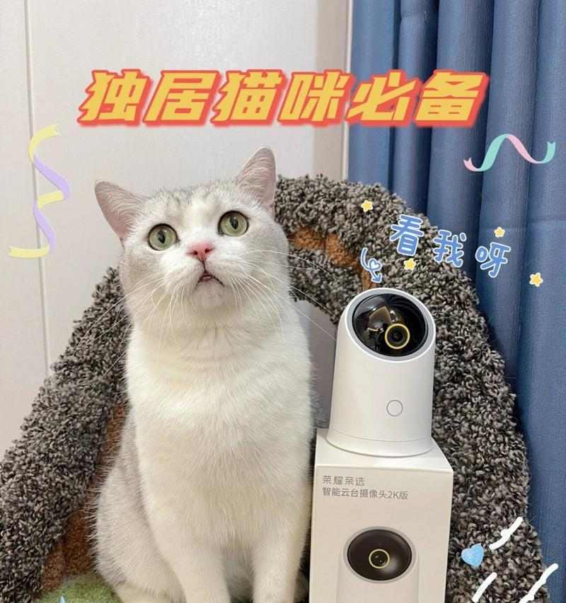猫的居家生活剖析（揭秘猫咪的“家居日常”，寻找猫咪的乐趣与需求）(图2)