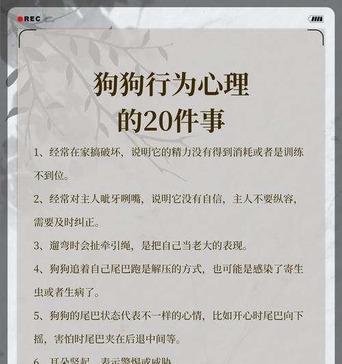 为什么狗狗会追自己的尾巴?(探究狗狗追尾巴的原因及行为背后的心理因素)(图3) 为什么狗狗会追自己的尾巴?(探究狗狗追尾巴的原因及行为背后的心理因素)(图3)