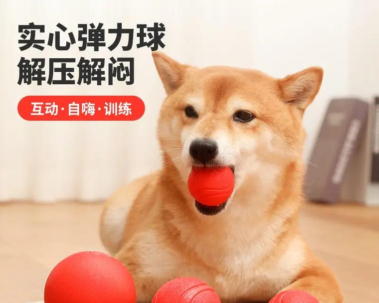小狗训练中最适合的球类及其好处（以网球为例，揭秘小狗训练中最佳球类选择和方法） - 悠悠酷狗网