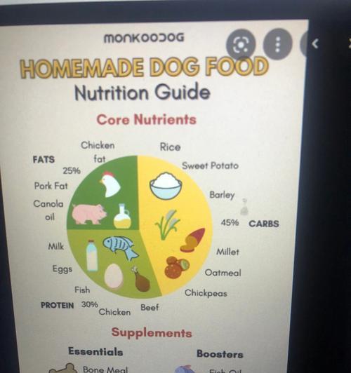 拉布拉多的营养需求与饮食搭配(探究拉布拉多犬的健康饮食要点与注意事项)(图2) 拉布拉多的营养需求与饮食搭配(探究拉布拉多犬的健康饮食要点与注意事项)(图2)