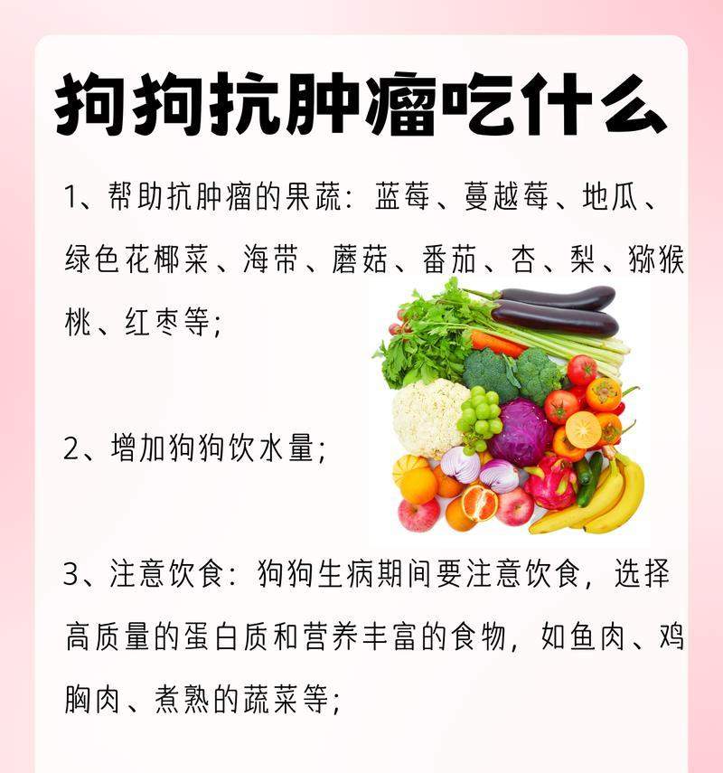 狗狗的蛋白补充(通过饮食补充蛋白质,让你的狗狗保持健康和活力)(图3) 狗狗的蛋白补充(通过饮食补充蛋白质,让你的狗狗保持健康和活力)(图3)