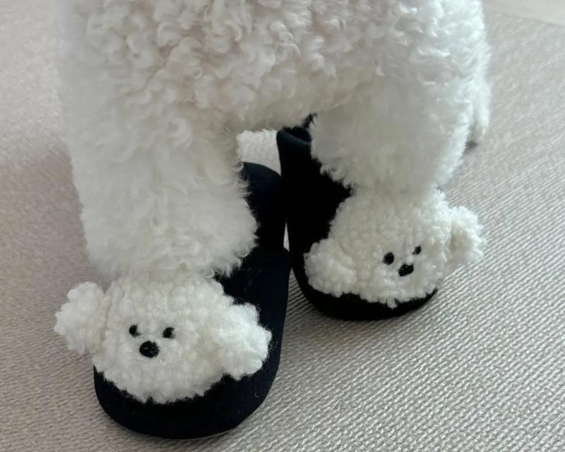 为什么狗狗那么喜欢拖鞋？（揭秘狗狗喜欢拖鞋的原因及解决方法）(图2)