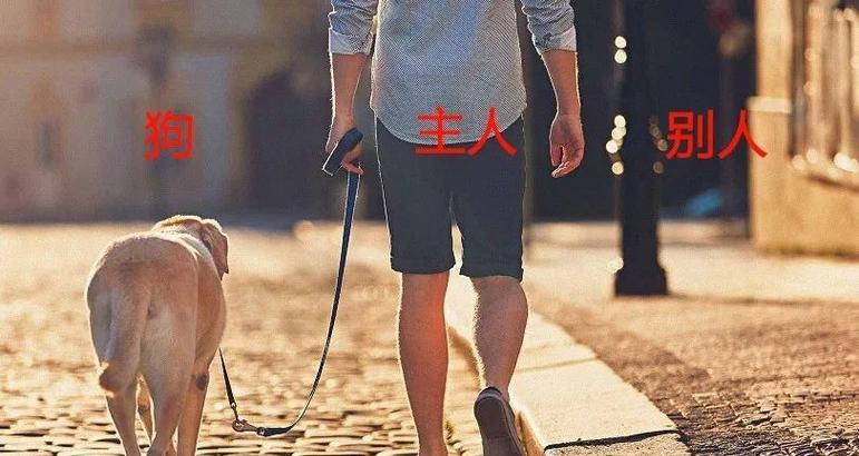 为什么狗狗要咬自己的腿?(探究狗狗咬腿行为的原因和解决方法)(图2) 为什么狗狗要咬自己的腿?(探究狗狗咬腿行为的原因和解决方法)(图2)