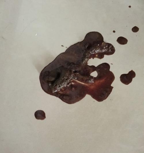 狗狗吐血的原因及应对措施（了解狗狗吐血的常见原因，保护你的宠物健康）(图2)