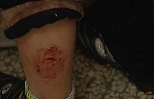 老血狗的含义解析（探寻老血狗的意义及背后的文化内涵） - 悠悠酷狗网