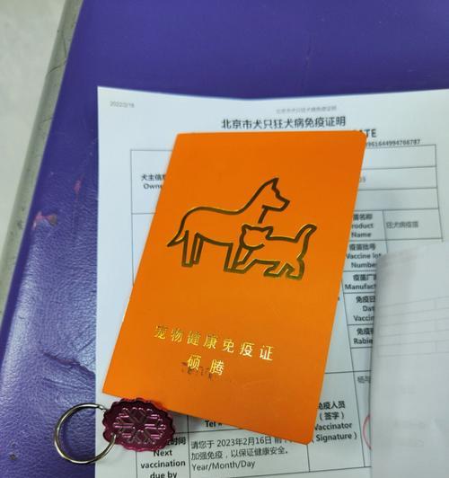 狗抗体检测（了解狗抗体检测的重要性及其应用领域） - 悠悠酷狗网