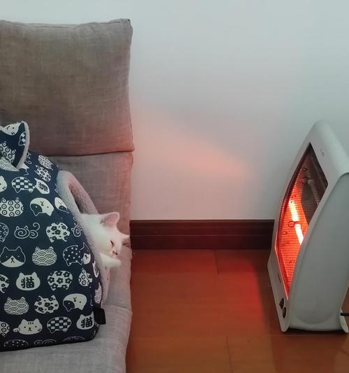 为什么泰迪会打哆嗦？（探索泰迪打哆嗦的原因及解决方法） - 悠悠酷狗网