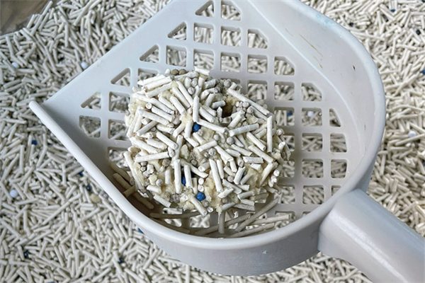 猫砂多长时间全部更换一遍？ - 悠悠酷狗网