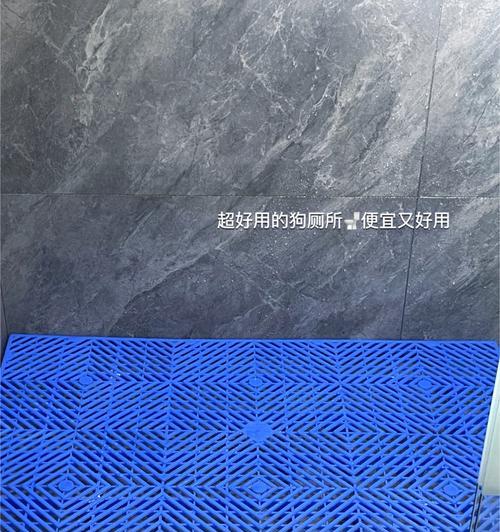 拉布拉多清洗秘籍(掌握正确方法,让你的拉布拉多宠物清洗无忧)(图2) 拉布拉多清洗秘籍(掌握正确方法,让你的拉布拉多宠物清洗无忧)(图2)