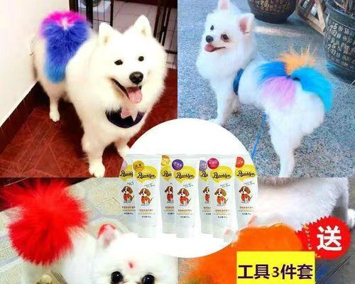 狗狗染毛的最佳颜色选择（让你的宠物与众不同，选择适合狗狗的染毛颜色） - 悠悠酷狗网