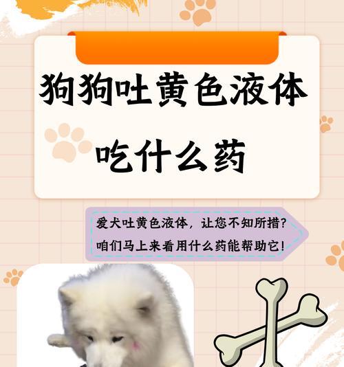 小狗呕吐的常见原因（了解呕吐背后的健康问题，保护宠物的幸福生活）(图1)