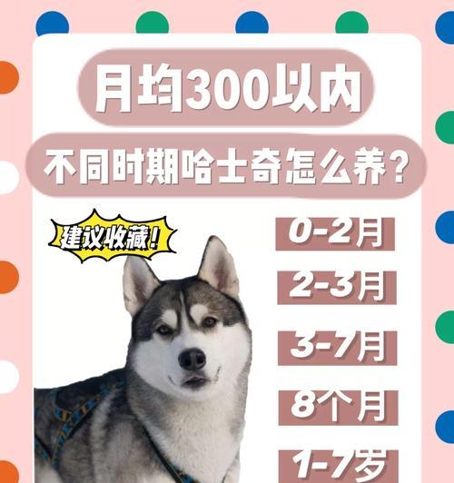 七个月大哈士奇的饮食需求与建议(满足哈士奇成长的营养需求,让它健康茁壮成长)(图1) 七个月大哈士奇的饮食需求与建议(满足哈士奇成长的营养需求,让它健康茁壮成长)(图1)