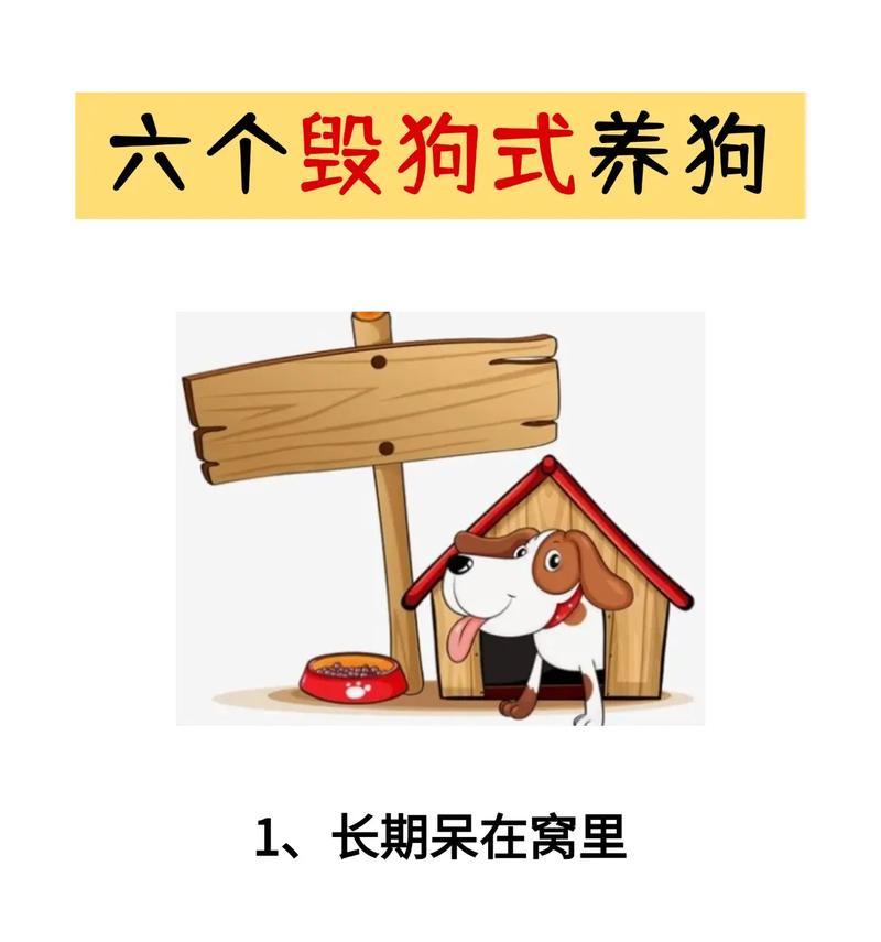 养狗前的必备条件（打造舒适宜居的狗生活环境）(图1)