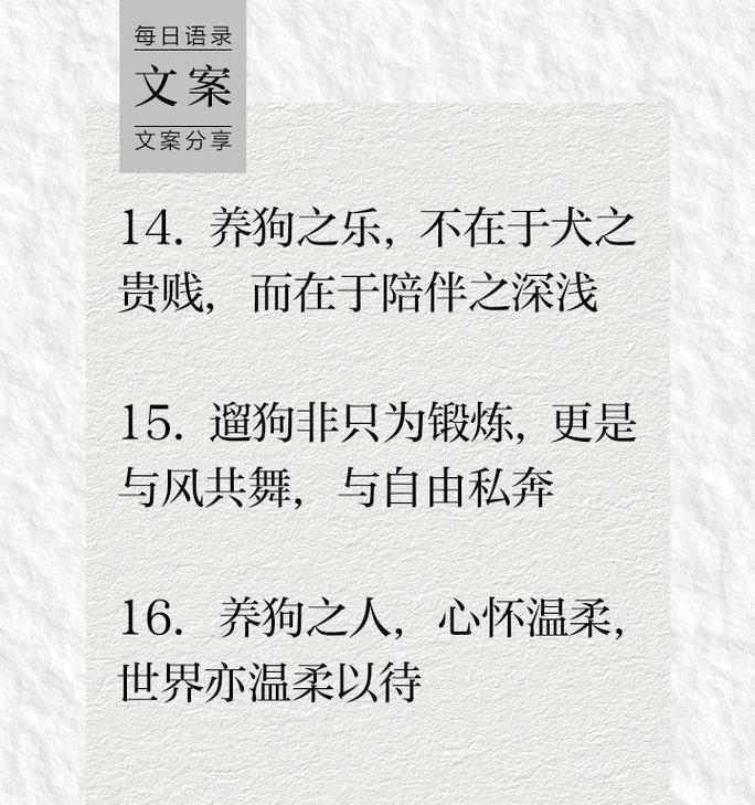 养狗前的必备条件（打造舒适宜居的狗生活环境）(图2)