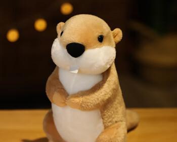 小头大身的玩偶(探索玩偶设计中的身体比例与头部尺寸之谜)(图3) 小头大身的玩偶(探索玩偶设计中的身体比例与头部尺寸之谜)(图3)