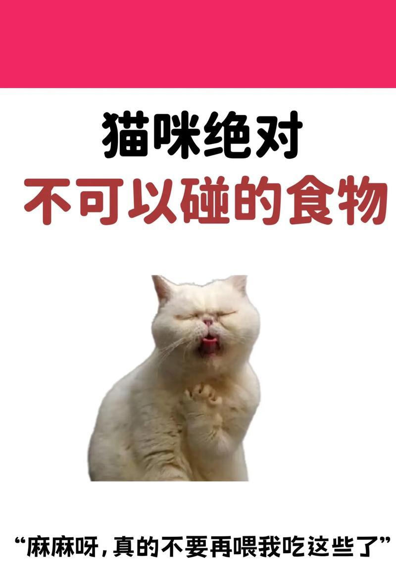 猫咪怀孕期间的饮食需知（哪些食物适合猫咪怀孕期间食用？） - 悠悠酷狗网