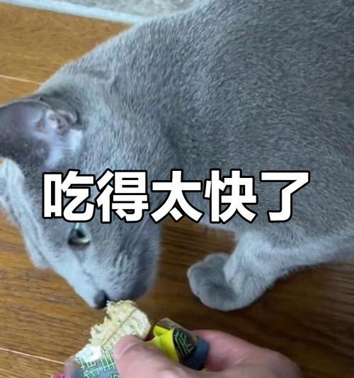 猫咪美味佳肴——自制食物让爱猫更健康（用心为爱猫亲自下厨，让它享受滋味人生） - 悠悠酷狗网