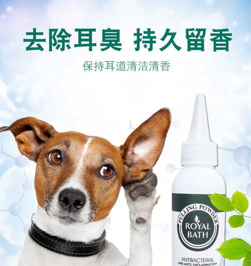 狗狗为什么会露出来怎么办？（了解狗狗露齿行为的原因及应对方法）(图3)