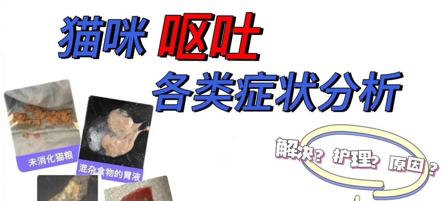 揭秘猫咪呕吐的原因（探究猫咪呕吐的种种情况与解决方法）(图1)