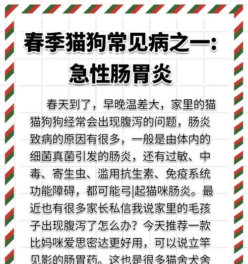 狗狗胃炎的饮食注意事项（以吃什么吐什么为原则，给狗狗更好的护理）(图2)