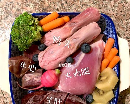 小狗受伤后如何处理？（选择正确的药物来帮助小狗恢复健康）(图3)