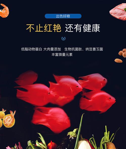 鹦鹉鱼苗的饲养之道（科学饲养让鹦鹉鱼苗健康成长） - 悠悠酷狗网