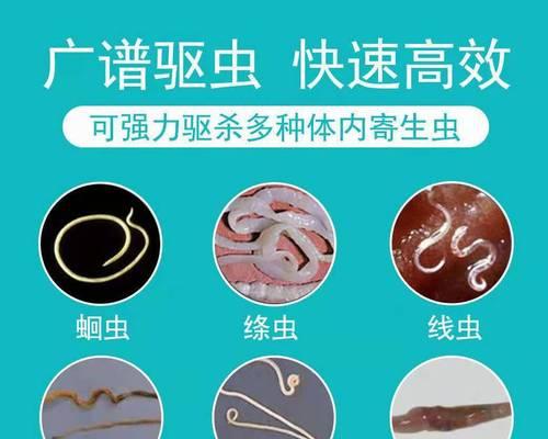 金毛20天吃什么驱虫药？（了解金毛幼犬驱虫需知，科学喂养更健康）(图1)